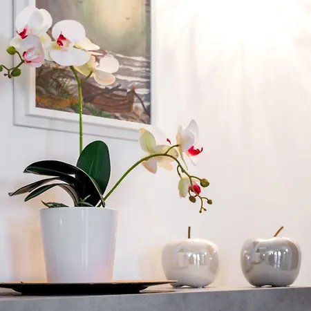 Il Blu & Infinityfly